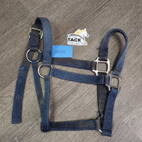 Thick Nylon Halter *gc/fair, v.dirty, stains, rubs, frays, faded, older, discolored, threads, torn holes
