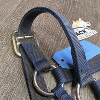 Thick Nylon Halter *gc/fair, v.dirty, stains, rubs, frays, faded, older, discolored, threads, torn holes
