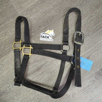 Thick Nylon Halter, reinforced crown *gc, faded, rubs, hairy, edge frays, snags
