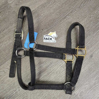 Thick Nylon Halter, reinforced crown *gc, faded, rubs, hairy, edge frays, snags
