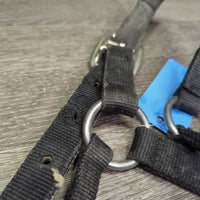 Thick Nylon Halter, reinforced crown *gc, faded, rubs, hairy, edge frays, snags
