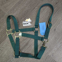 Thin Nylon Halter, snap *vgc, mnr dirt?stains
