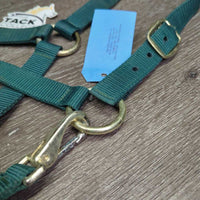 Thin Nylon Halter, snap *vgc, mnr dirt?stains
