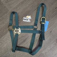 Thin Nylon Halter *gc/vgc, mnr dirt, rust & stains
