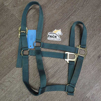 Thin Nylon Halter *gc/vgc, mnr dirt, rust & stains
