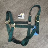 Thick Nylon Halter, snap *gc, dirty, v.stained, discolored
