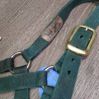 Thick Nylon Halter, snap *gc, dirty, v.stained, discolored

