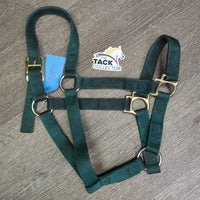 Thick Nylon Halter, snap *gc, dirty, v.stained, discolored
