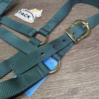 Thin Nylon Halter *gc/vgc, dirt, stains
