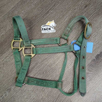 v.Thick Nylon Halter *gc/fair, faded, rusty, rubs, stains, older, dirty
