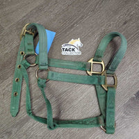 v.Thick Nylon Halter *gc/fair, faded, rusty, rubs, stains, older, dirty
