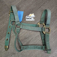 v.Thick Nylon Halter *gc/fair, faded, rusty, rubs, stains, older, dirty

