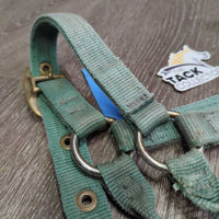 v.Thick Nylon Halter *gc/fair, faded, rusty, rubs, stains, older, dirty

