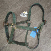 Vintage Thick Nylon Halter, Slide Buckle *fair, faded, rusty, rubs, stains, older, dirty, rough/frayed edges
