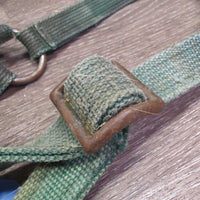 Vintage Thick Nylon Halter, Slide Buckle *fair, faded, rusty, rubs, stains, older, dirty, rough/frayed edges
