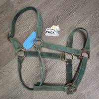 Vintage Thick Nylon Halter, Slide Buckle *fair, faded, rusty, rubs, stains, older, dirty, rough/frayed edges
