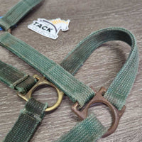 Vintage Thick Nylon Halter, Slide Buckle *fair, faded, rusty, rubs, stains, older, dirty, rough/frayed edges
