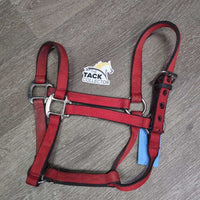 Thick Nylon Halter, XLg Buckle, leather keeper *gc, dirt, stains, shortened crown
