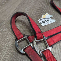 Thick Nylon Halter, XLg Buckle, leather keeper *gc, dirt, stains, shortened crown
