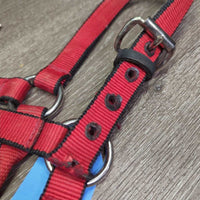 Thick Nylon Halter, XLg Buckle, leather keeper *gc, dirt, stains, shortened crown
