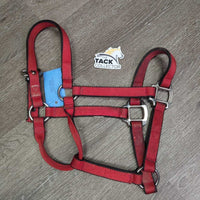 Thick Nylon Halter, XLg Buckle, leather keeper *gc, dirt, stains, shortened crown
