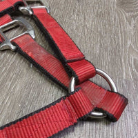 Thick Nylon Halter, XLg Buckle, leather keeper *gc, dirt, stains, shortened crown
