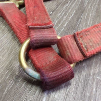 Thick Nylon Halter, Braided Rope Accents *gc/fair, dirty, stains, rubs, frays,snags, faded, hole rubs & frays

