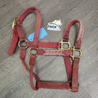Thick Nylon Halter, Braided Rope Accents *gc/fair, dirty, stains, rubs, frays,snags, faded, hole rubs & frays
