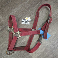Stiff Thick Nylon Halter, Slip Nose, spring snap *gc/fair, older, stains, faded, rust, frayed edges, older, dirt
