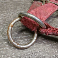 Stiff Thick Nylon Halter, Slip Nose, spring snap *gc/fair, older, stains, faded, rust, frayed edges, older, dirt
