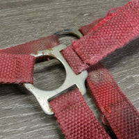 Stiff Thick Nylon Halter, Slip Nose, spring snap *gc/fair, older, stains, faded, rust, frayed edges, older, dirt
