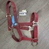 Stiff Thick Nylon Halter, Slip Nose, spring snap *gc/fair, older, stains, faded, rust, frayed edges, older, dirt
