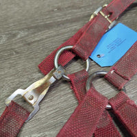 Stiff Thick Nylon Halter, Slip Nose, spring snap *gc/fair, older, stains, faded, rust, frayed edges, older, dirt
