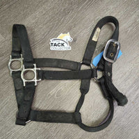 Thick Nylon Halter *gc/fair, dirty, edge rubs & frays, v.chewed & separated end, oxidized, older
