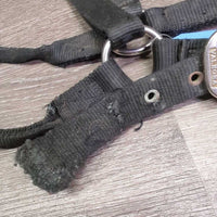 Thick Nylon Halter *gc/fair, dirty, edge rubs & frays, v.chewed & separated end, oxidized, older
