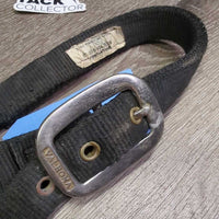 Thick Nylon Halter *gc/fair, dirty, edge rubs & frays, v.chewed & separated end, oxidized, older
