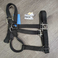 Thick Nylon Halter *gc/fair, dirty, edge rubs & frays, v.chewed & separated end, oxidized, older
