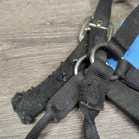 Thick Nylon Halter *gc/fair, dirty, edge rubs & frays, v.chewed & separated end, oxidized, older
