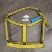 Thick Stiff Nylon Halter *gc/fair, stains, stretched & frayed holes, edge rubs & frays, older
