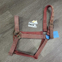 Thick Stiff Nylon Halter *gc/fair, v.faded, discolored, stains, frayed & sliced edges, unstitched, older, frayed holes, v.rusty
