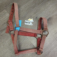 Thick Stiff Nylon Halter *gc/fair, v.faded, discolored, stains, frayed & sliced edges, unstitched, older, frayed holes, v.rusty
