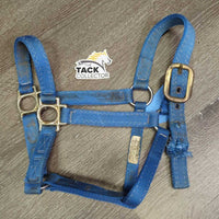 Thick Stiff Nylon Halter *gc/fair, stains, rusty, older, frayed holes
