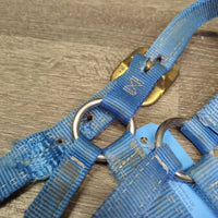 Thick Stiff Nylon Halter *gc/fair, stains, rusty, older, frayed holes
