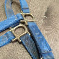 Thick Stiff Nylon Halter *gc/fair, stains, rusty, older, frayed holes
