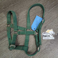 Thin Stiff Nylon Halter, 2x adjustable *gc/fair, stains, rusty, faded, rough, older
