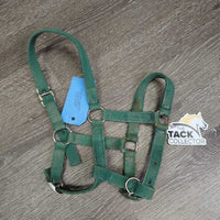 Thin Stiff Nylon Halter, 2x adjustable *gc/fair, stains, rusty, faded, rough, older
