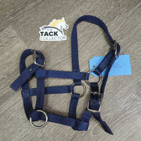 Thin Stiff Nylon Halter, 2x adjustable *cc, clean, mnr rubs
