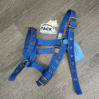 Thin Stiff Nylon Halter, 2x adjustable *gc/fair, stains, rusty, faded, rough, older, oxidized, loose & rusty grommets
