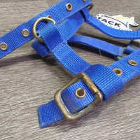 Thin Stiff Nylon Halter, 2x adjustable *gc/fair, stains, rusty, faded, rough, older, oxidized, loose & rusty grommets
