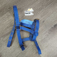 Thin Stiff Nylon Halter, 2x adjustable *gc/fair, stains, rusty, faded, rough, older, oxidized, loose & rusty grommets
